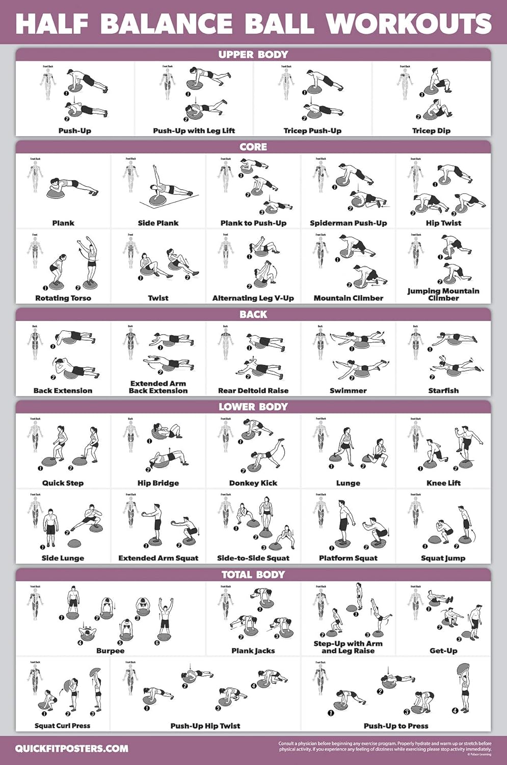 Palace Learning Half Balance Ball Workout Poster - Laminated Exercise Chart (18" x 24")