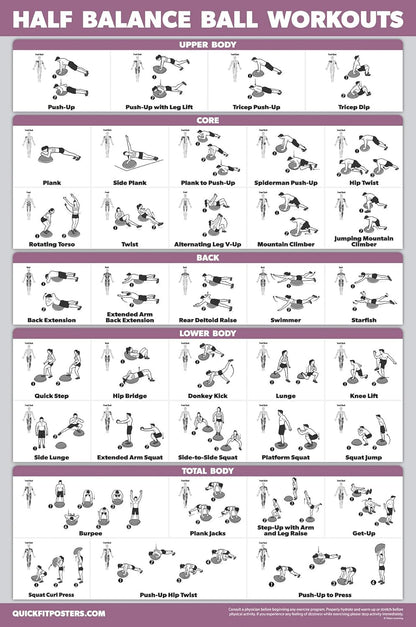 Palace Learning Half Balance Ball Workout Poster - Laminated Exercise Chart (18" x 24")