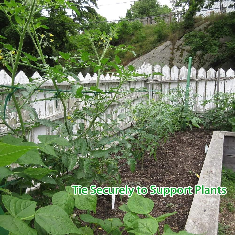Skiennix Plant Ties - 164 Feet Biodegradable Green Garden Twine for Tomato Plants & Climbing Vines