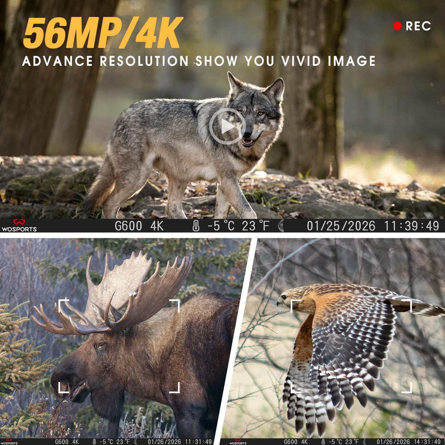 WOSPORTS Rechargeable Trail Camera 2Pack 56MP 4K Game Cam 0.2s Trigger No Glow Night Vision Motion Activated 120° Wide Lens 2.0” LCD Wildlife Camera Outdoor Scouting