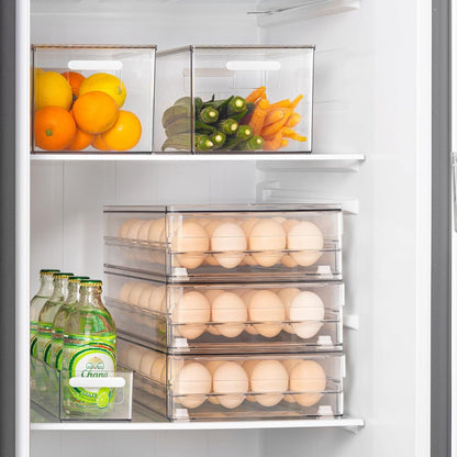 Vacane Egg Holder - 24 Capacity BPA-Free Refrigerator Organizer with Non-Slip Pads | Space-Saving Design