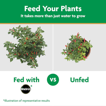 Miracle-Gro Water-Soluble Plant Food - Boost Vegetable & Herb Growth - 2 lbs for Abundant Harvest