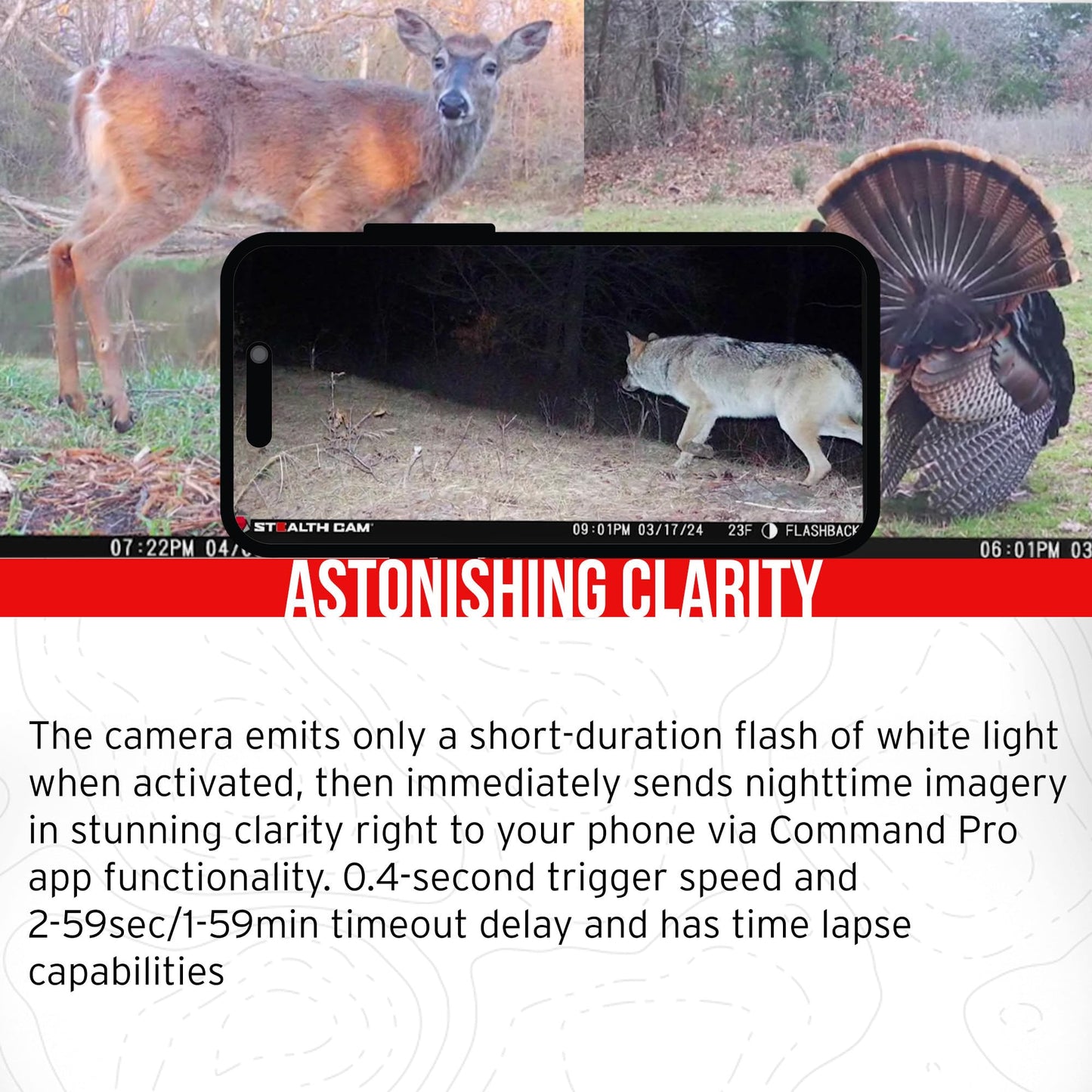 Stealth Cam Flashback 40MP White Flash Cellular Trail Camera 2-Pack with Two 32GB Memory Cards and Card Reader (5 Items)