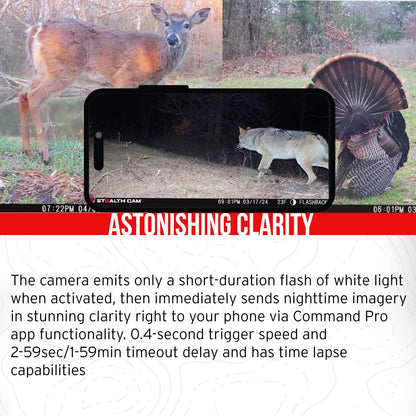 Stealth Cam Flashback 40MP White Flash Cellular Trail Camera 2-Pack with Two 32GB Memory Cards and Card Reader (5 Items)