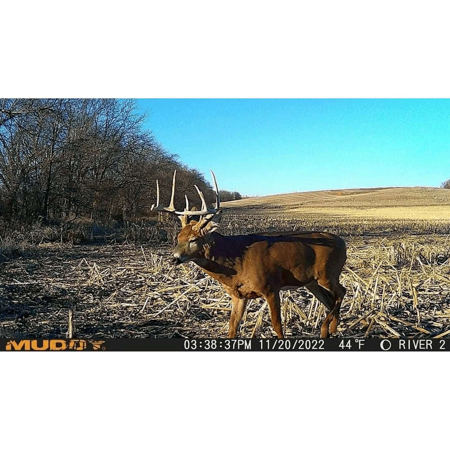 Muddy Mitigator On Demand Cellular Trail Camera – 20MP Wireless Hunting Camera