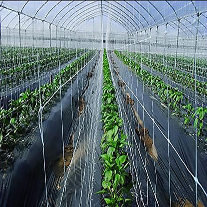 mychoiii Professional Garden Trellis Netting Bulk Roll 6.5ft x 3280ft - Heavy Duty Plant Support Net for Climbing Vegetables, 6" Mesh Scrog Netting for Grow Tent Cucumber Tomato Grape Vine Hydroponic