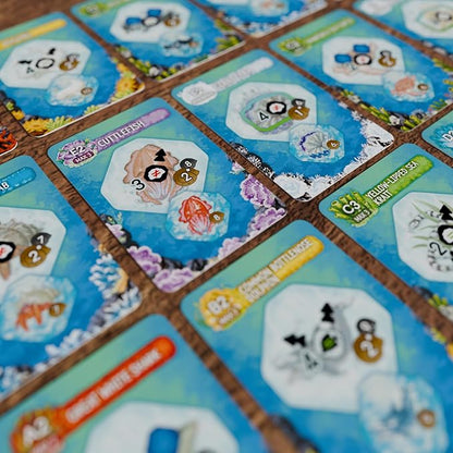 Shallow Sea Board Game – Strategy Tile-Placement Game for Adults &amp Families | 1–4 Players 30–45 Min Play | Build Coral Reef Ecosystem Ocean Puzzle Game Nature-Inspired (Nesting Season Expansion