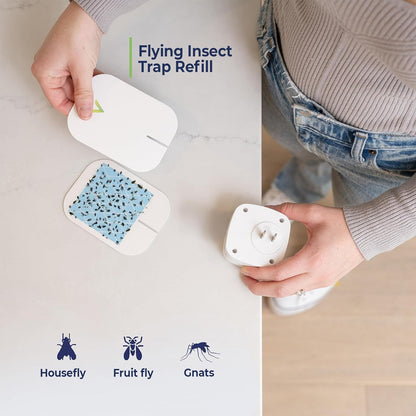 VEYOFLY Indoor Fly Trap Refill - Effective Fruit Fly & Gnat Catcher | 10 Pack for Home Use