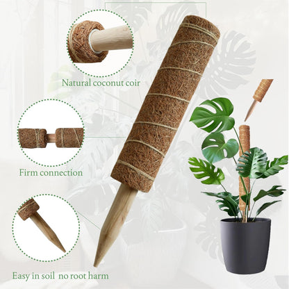 Moss Pole for Plants - 4 Pack Natural Coco Coir Climbing Support Stakes | 7.9 Inch Each, Total 31.6 Inch