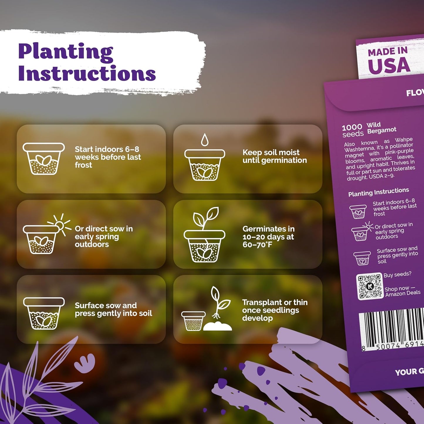 KVITER Wild Bergamot Seeds - 2,000 Organic Non-GMO Bee Balm Seeds for Pollinator Gardens | 2 Pack