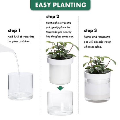 Phoenix Vine 6 Inch 4 Inch Self Watering Planter, White Terracotta Clay Pots with Glass Reservoir for Indoor Plants, Herbs, Flowers, 52-B-G-46