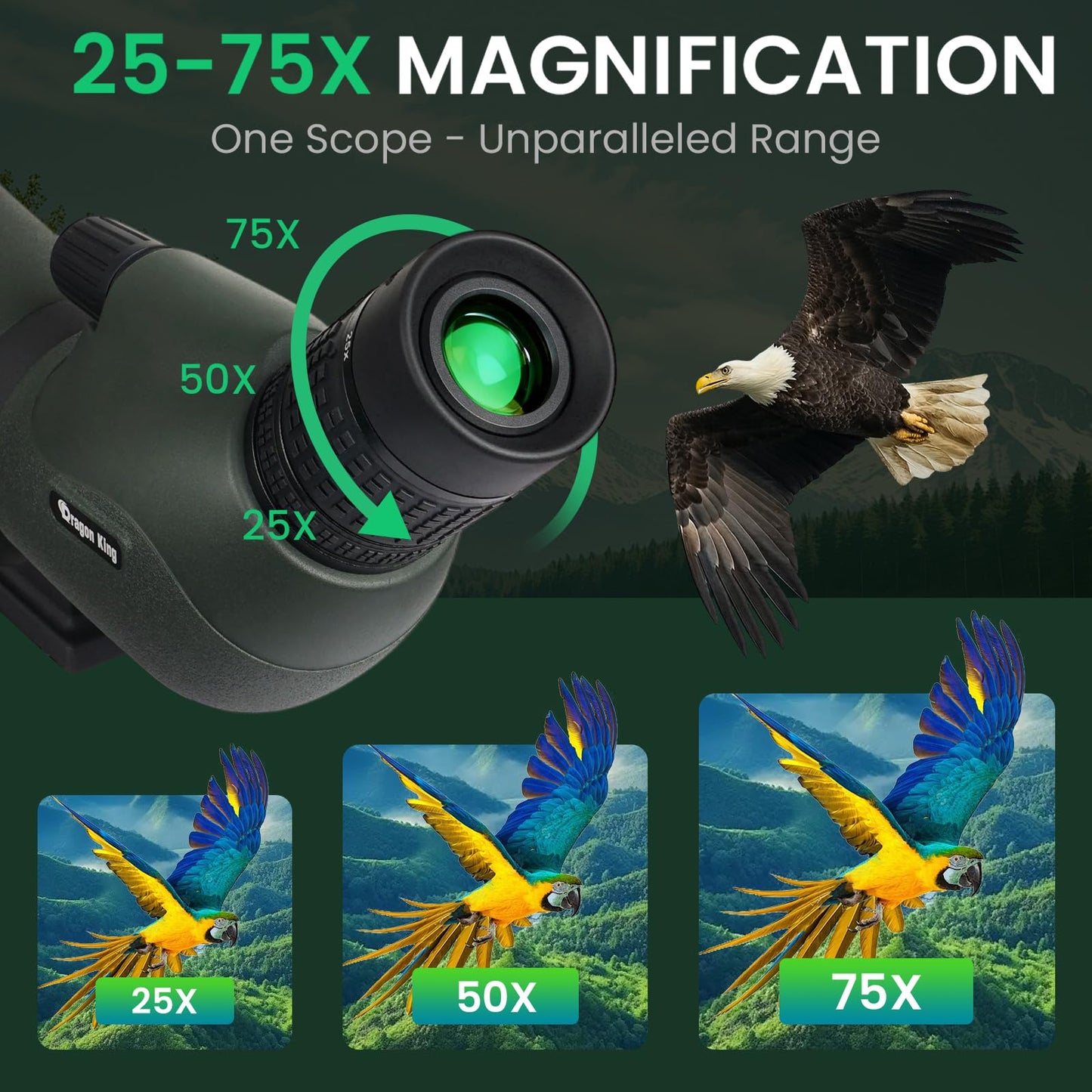 BIBIRE 25-75x80 HD Spotting Scopes, Angled Spotter Scope with Tripod and Phone Adapter Spotting Scope for Bird Watching Wildlife Wiewing