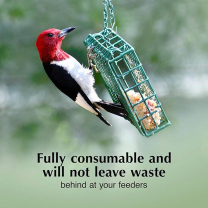 C&S Cranberry Delight Suet Cakes - No Melt Formula for Wild Birds | 8 Pack, Perfect for Robins & Blue Jays
