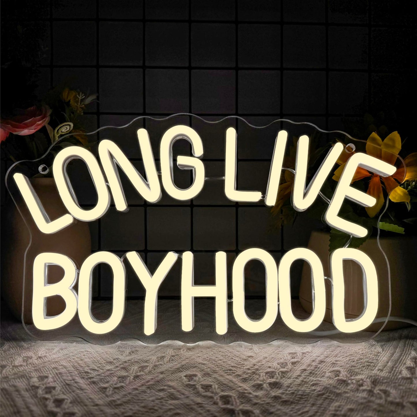 This Is A High Class Place Neon Sign, Western Riding Cowboy Neon Light, USB Powered LED Neon Light, Elegant Wall Decor, Bar Sign, Restaurant Decor for Man Cave Farm Party Birthday Gifts(16.5 * 11.8in)