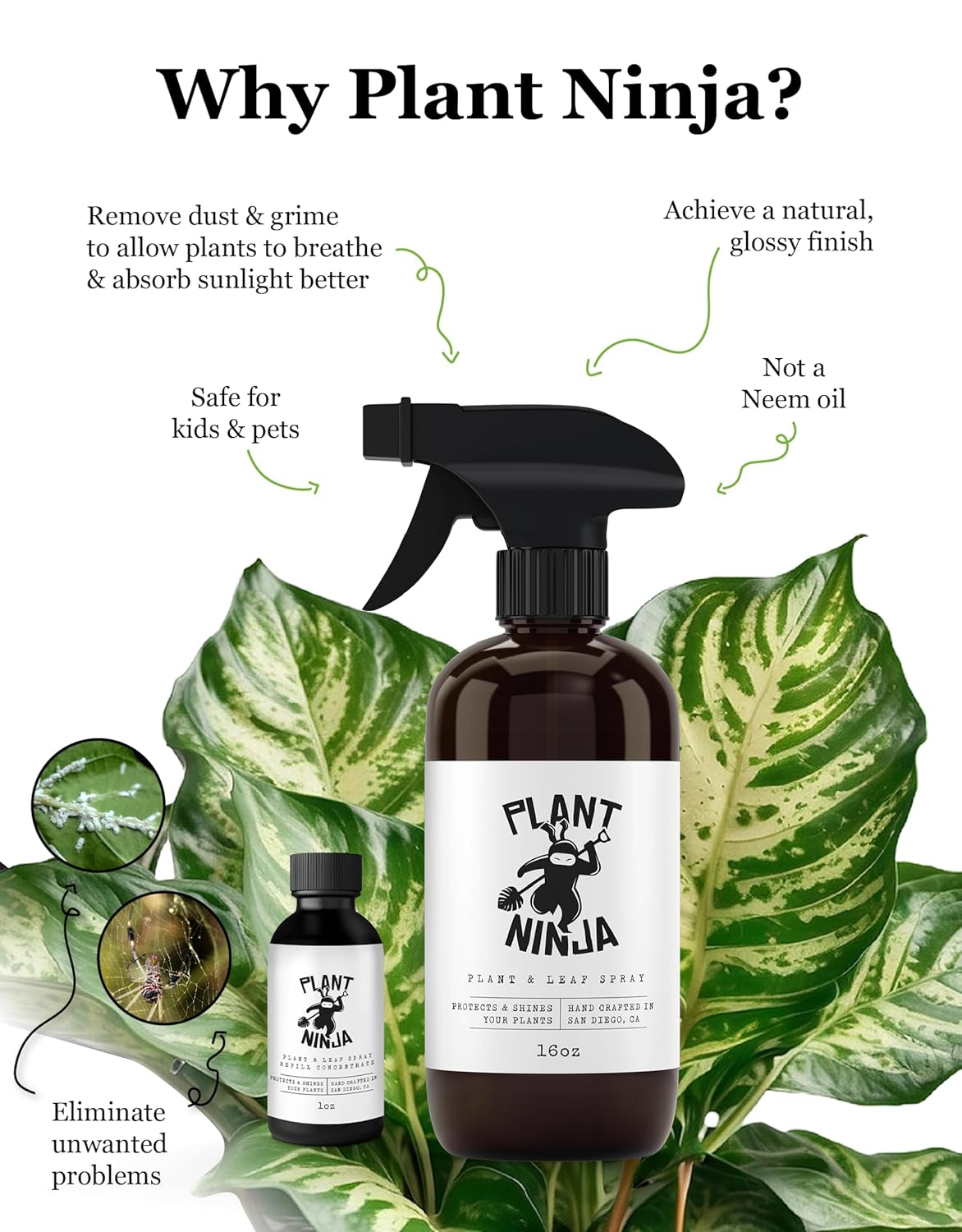 Plant & Leaf Spray - Non-Toxic Leaf Shine & Protector | Eco-Friendly Formula for Indoor Plants | Handcrafted, Women-Owned