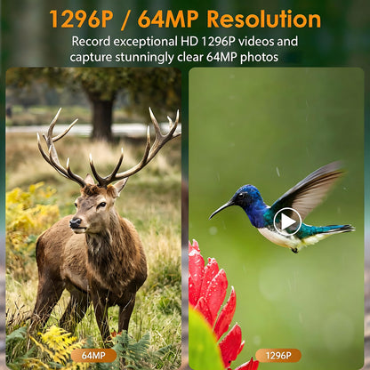 2-Pack Game & Trail Camera, 64MP 1296P H.264 MP4 Video Cam with 940nm No Glow Night Vision Motion Activated IP66 Waterproof for Outdoor Wildlife Monitoring, Yard Security, Animal Observation