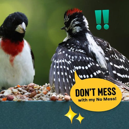 Cool Birds Wild Bird Seed - 100% Edible Shell-Free Blend with Real Fruit & Nuts | 10 lb No Mess