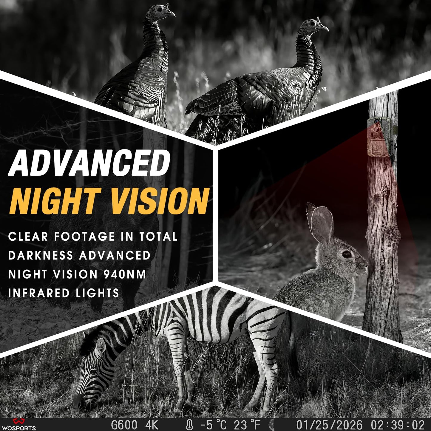 WOSPORTS Rechargeable Trail Camera 2Pack 56MP 4K Game Cam 0.2s Trigger No Glow Night Vision Motion Activated 120° Wide Lens 2.0” LCD Wildlife Camera Outdoor Scouting