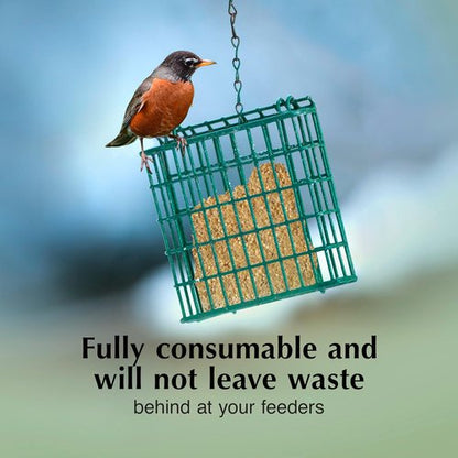 C&S Berry Delight Suet Cakes - No Melt Formula for Wild Birds | 11.75 Ounces, Pack of 8