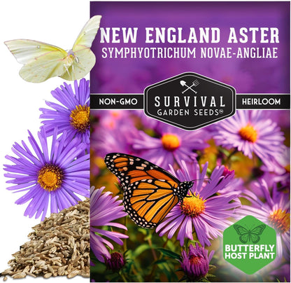 Survival Garden Seeds - New England Aster Seeds | Native Purple Perennial Wildflower | Attract Butterflies | 1 Pack