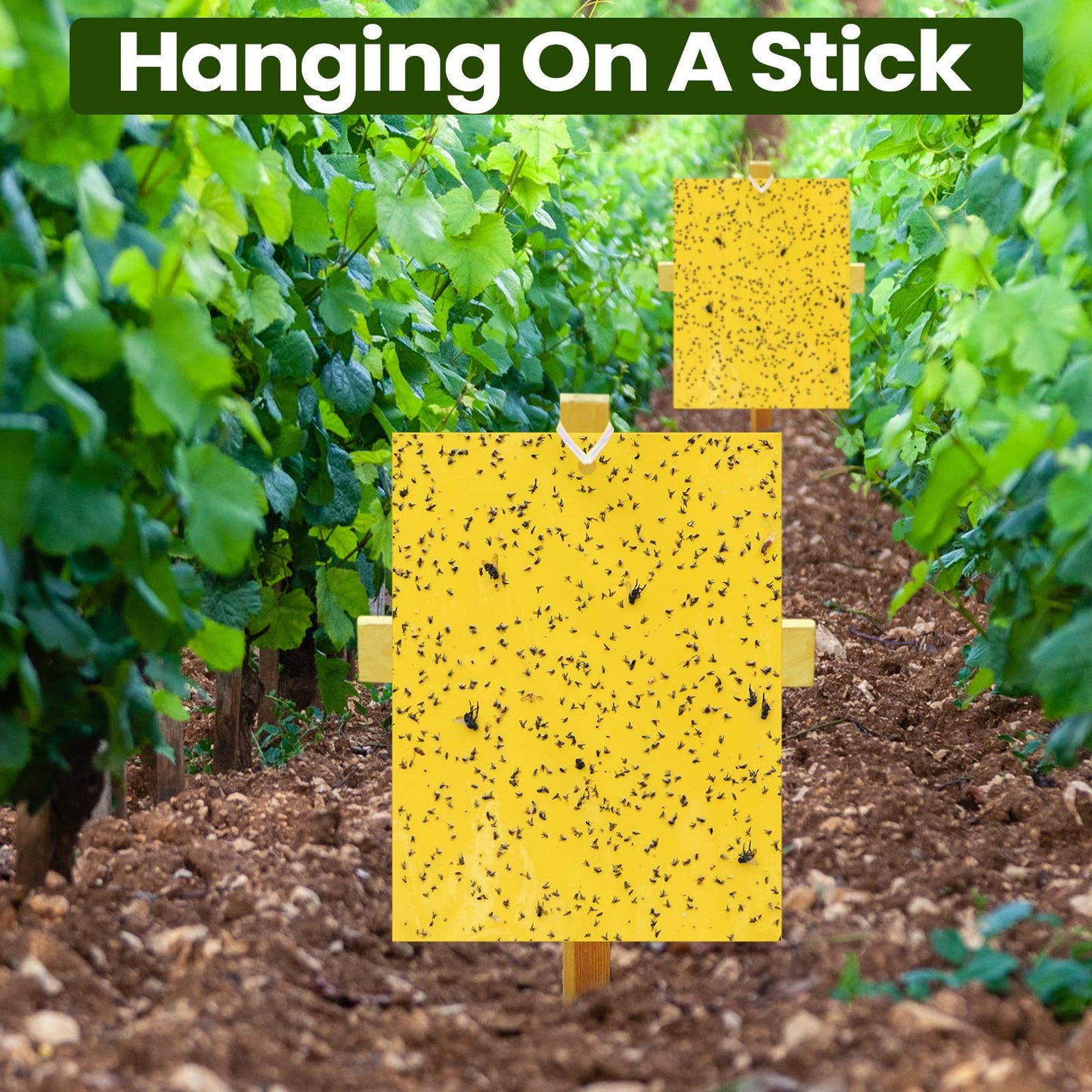 Qualirey 900 Pcs 6x8 Inch Yellow Sticky Traps for Gnats, Dual-Sided Sticky Gnat Traps for Indoor Outdoor, Fly Catcher for Fungus Gnats, Fruit Flies, Whiteflies– Bulk Pack with Twist Ties