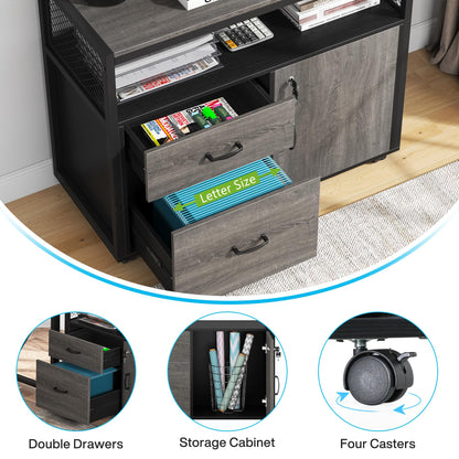 Tribesigns Modern File Cabinet with Drawers for Letter-Sized File and Door, Lockable lateral Filing Cabinet Printer Stand with Storage Shelves and with Rolling Caster for Home Office (Gray)