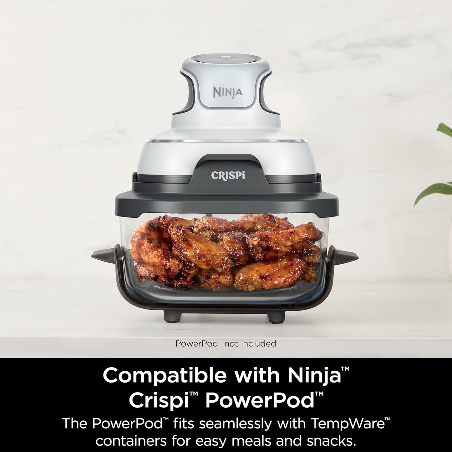 Ninja CleanCrisp™ 4-QT Glassware Container - Microwave & Dishwasher Safe, PFAS Free