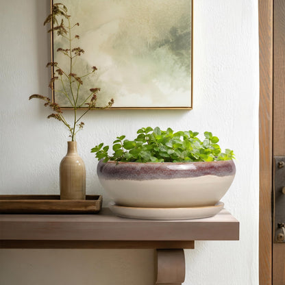 SQOWL Bonsai Tree Pots - 10 Inch Ceramic Succulent Pots, Round Shallow Planter with Drainage Hole and Tray, Bowl Planter for Indoor Outdoor Plants Flowers, Room Decor, Garden Gifts, Beige