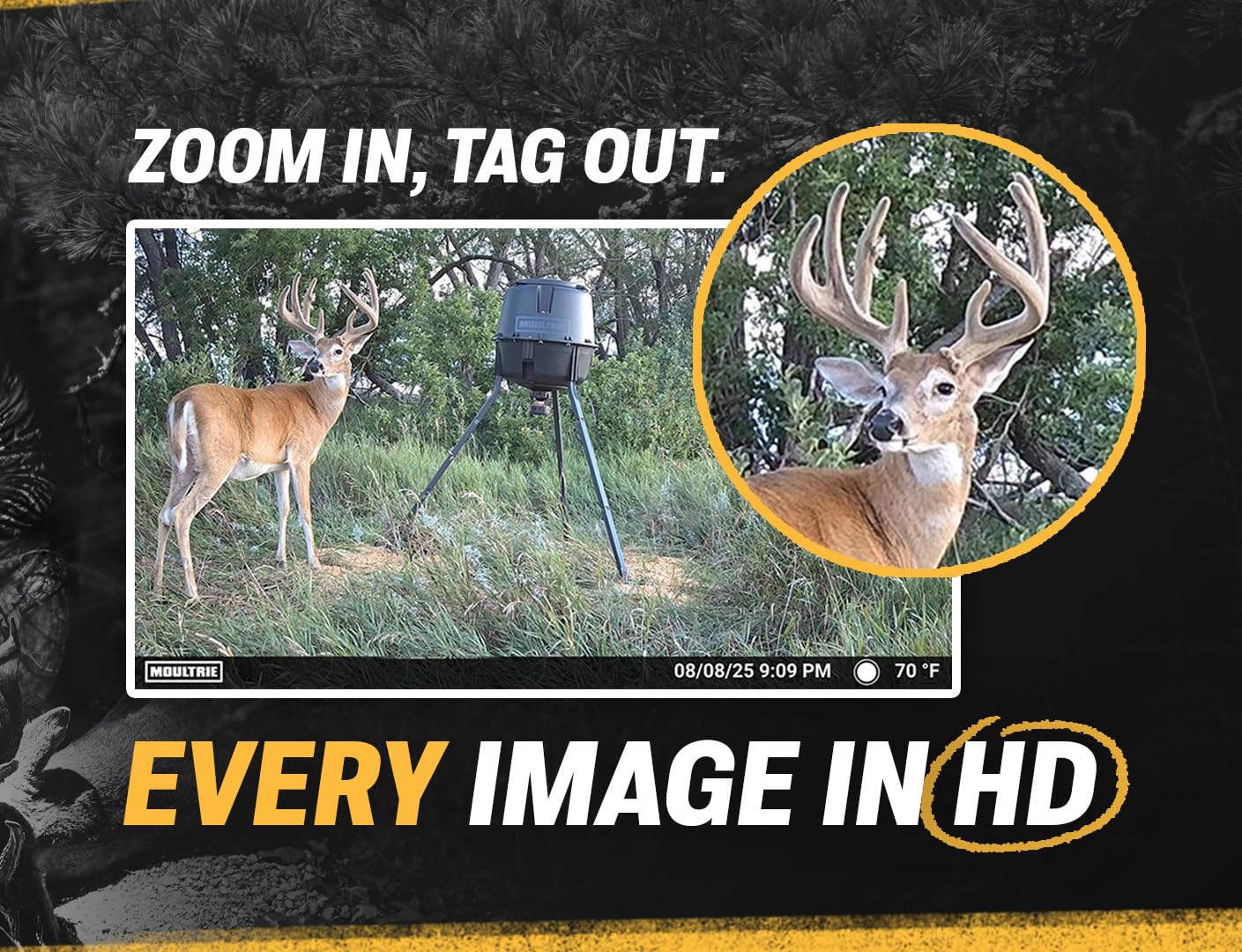 Moultrie Edge Solar Cellular Trail Camera - Integrated Solar Panel with Battery - 40MP - 1080p Video - Night Vision - Multi-Carrier LTE Auto-Connect - Built-in Memory - 0.4s Trigger Speed