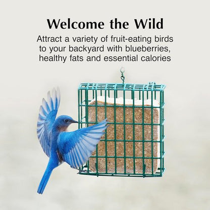 C&S Berry Delight Suet Cakes - No Melt Formula for Wild Birds | 11.75 Ounces, Pack of 8