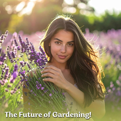 KVITER English Lavender Seeds - Organic Heirloom Perennial for Indoor & Outdoor Planting | Non-GMO Lavandula angustifolia