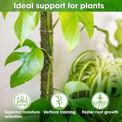 DUSPRO 42” Mesh Moss Pole - Natural Support for Climbing Plants | Ideal for Monstera & Indoor Use