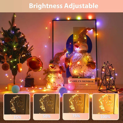 Ariceleo 1 Pack Warm White & Multi-Color Battery Operated String Lights, 5M/16.4ft. 50 LEDs Remote Control Timer 12 Modes Optional Twinkle Battery Powered Fairy Lights Sliver Wire Firefly Lights