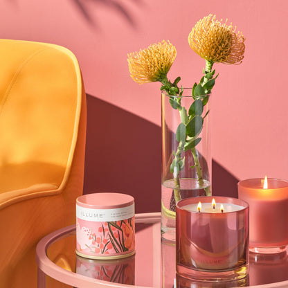 Illume Beautifully Done Essentials Paloma Petal Boxed Glass Scented Soy Candle