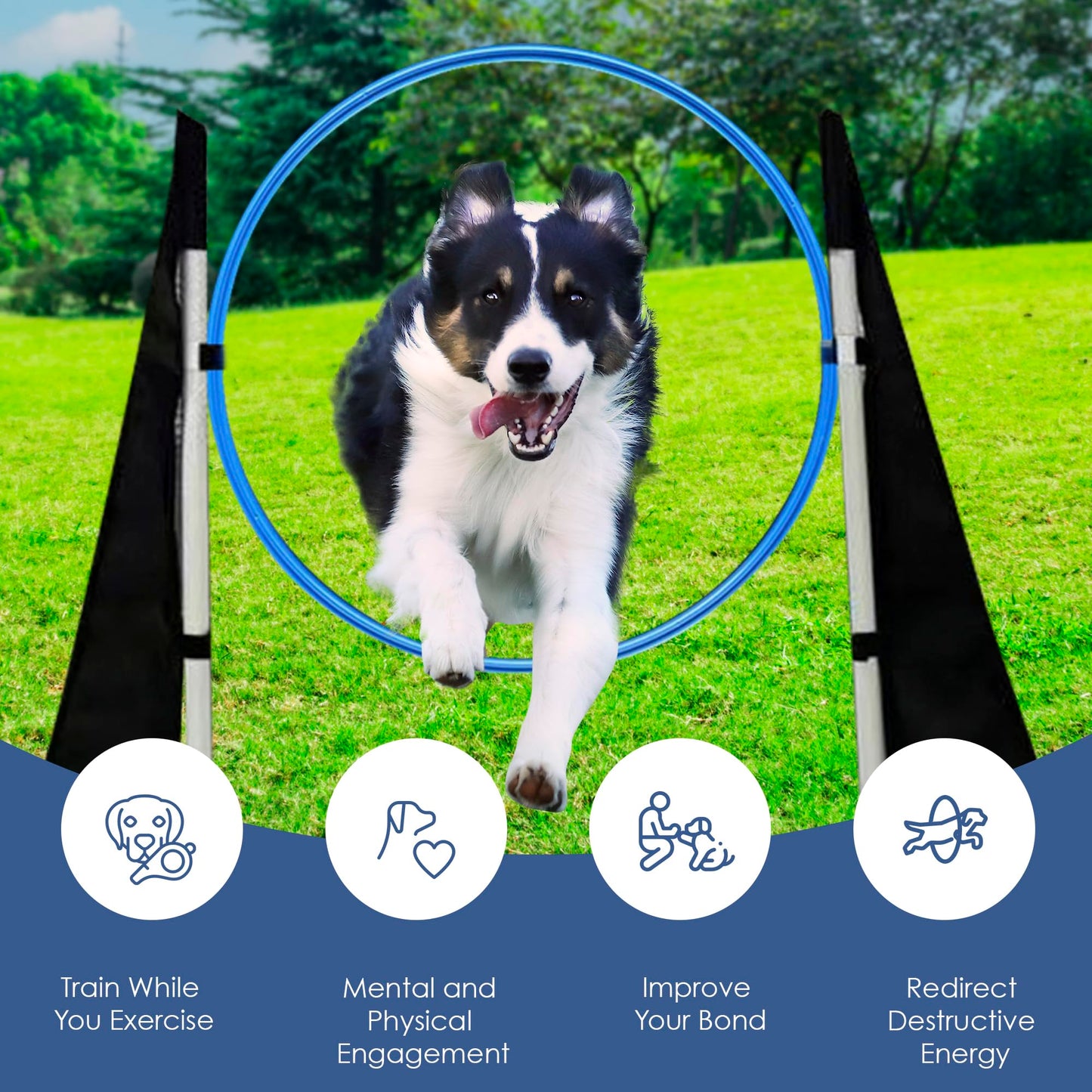 Houseables Dog Agility Course Backyard Set, Dog Agility Equipment, Obstacle Course Backyard, Training and Exercise Equipment, Play Tunnel, Weave Poles, Jumps, Pause Box for Playground, Park, Indoor