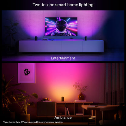 Philips Hue Play Smart Wall Washer Light, Bluetooth Compatible, Voice Control, 1-Pack, Black, Model 590166