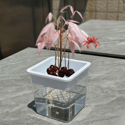 Flower Pots for Plants | Transparent Plant Containers,Outdoor Flower Pots | for Semi-Hydro Cuttings Seedlings African Violets Balcony Desk Garden Porch Windowsill Bedroom Living Room Yard