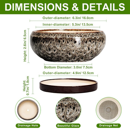 EPFamily Succulent Planter 6 Inch - Ceramic Bonsai Pots with Drainage Hole and Tray, Shallow Plant Pot Indoor Outdoor, Cactus Succulent Pot, Round Bonsai Planter, Home Decor, Plant Lover Gift, White