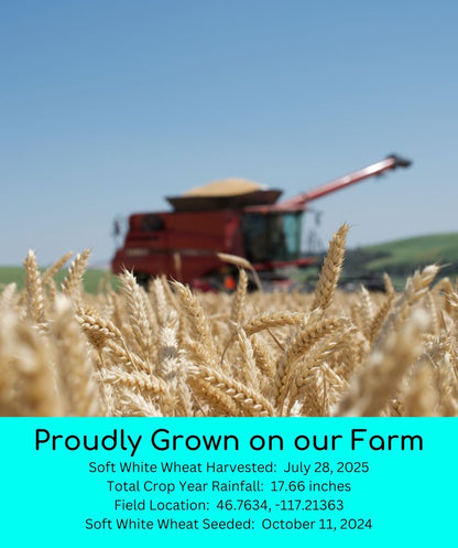 Palouse Brand Certified Glyphosate Residue Free Hard White, Soft White, Red Spring and Winter Wheat Berries | 20 LBS | Non-GMO Project Verified | Kosher (4-5 lb bags each)