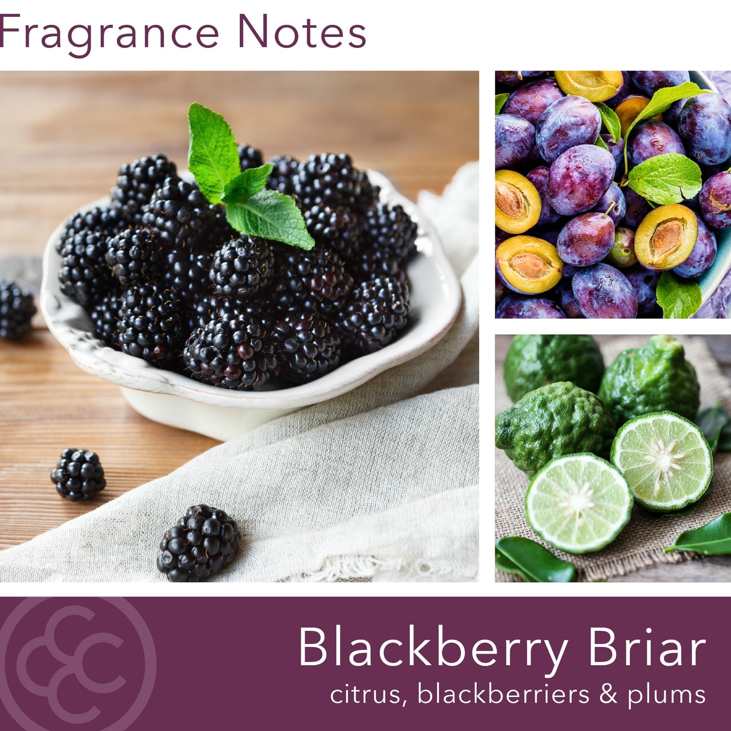 Colonial Candle BlackBerry Briar Scented Candle, 2-Wick Natural Soy Blend Wax Candle Infused with Essential Oils, 14 oz Apothecary Glass Jar Candle - Made in The USA