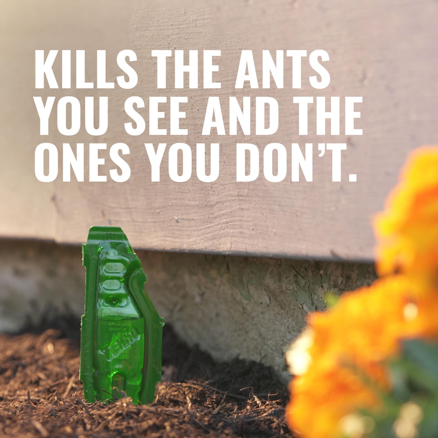 TERRO Liquid Ant Baits - T1813B - Outdoor Ready-to-Use Terro Ant Traps, Kills Household Ants, 12 Stakes (Pack of 12)
