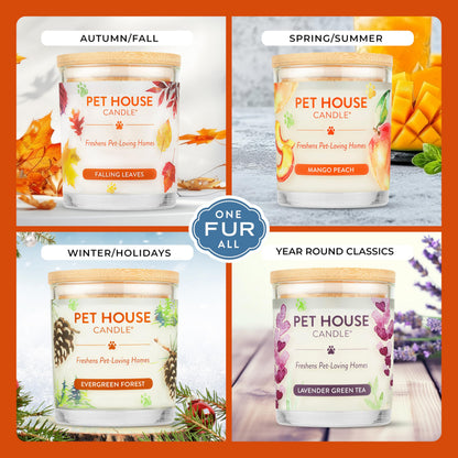 Pet House Pet Odor Candle Plant Based Scented Candle Clean Burning, Long Lasting for Home, Evergreen Forest