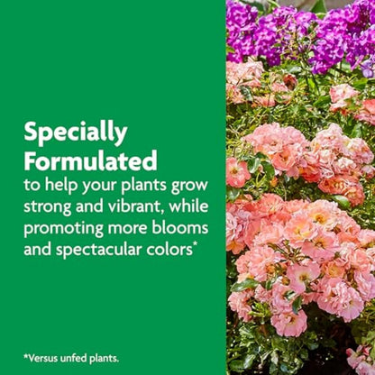 Miracle-Gro Shake 'n Feed Rose & Bloom Plant Food - Long-Lasting Granular Fertilizer, Feeds 3 Months - 4.5 lbs.