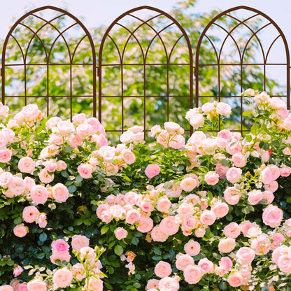 LZRS 2 Pack Rustic Iron Arch Decoration Garden Trellis with Metal Coating – Perfect for Supporting Climbing Plants Outdoor, Roses, Vines, Flowers, and Vegetables, Brown