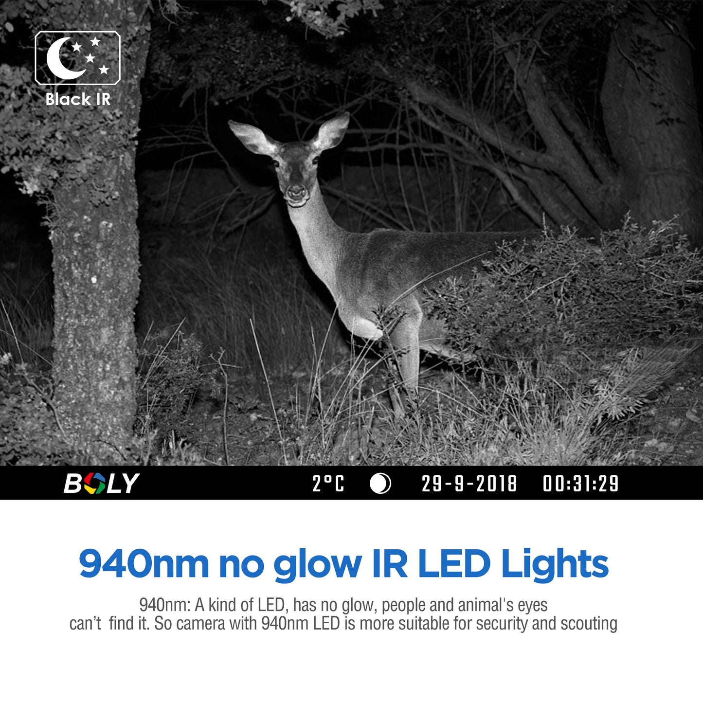 BolyGuard BG662-HQ Trail Game Camera 4K/56MP Night Vision Camera Dual-LEDs 940nm Invisible IRs+White LEDs Waterproof IP68 Outdoor Wildlife Camera
