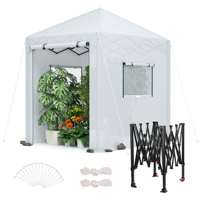 WORKPRO Greenhouse, 94" x70" x98" Pop-up Greenhouse for Outdoors , Heavy Duty Gardening House with Sturdy PE Cover, Roll-up Entry Doors and 2 Screen Windows, for Patio, Backyard, Balcony