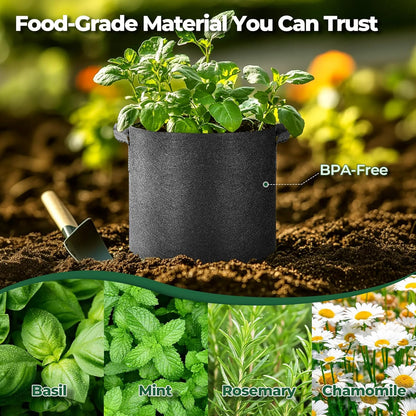 T4U 1 Gallon Grow Bags - Heavy Duty Nonwoven Fabric Pots with Handles | Perfect for Herbs & Plants (5 Pack)