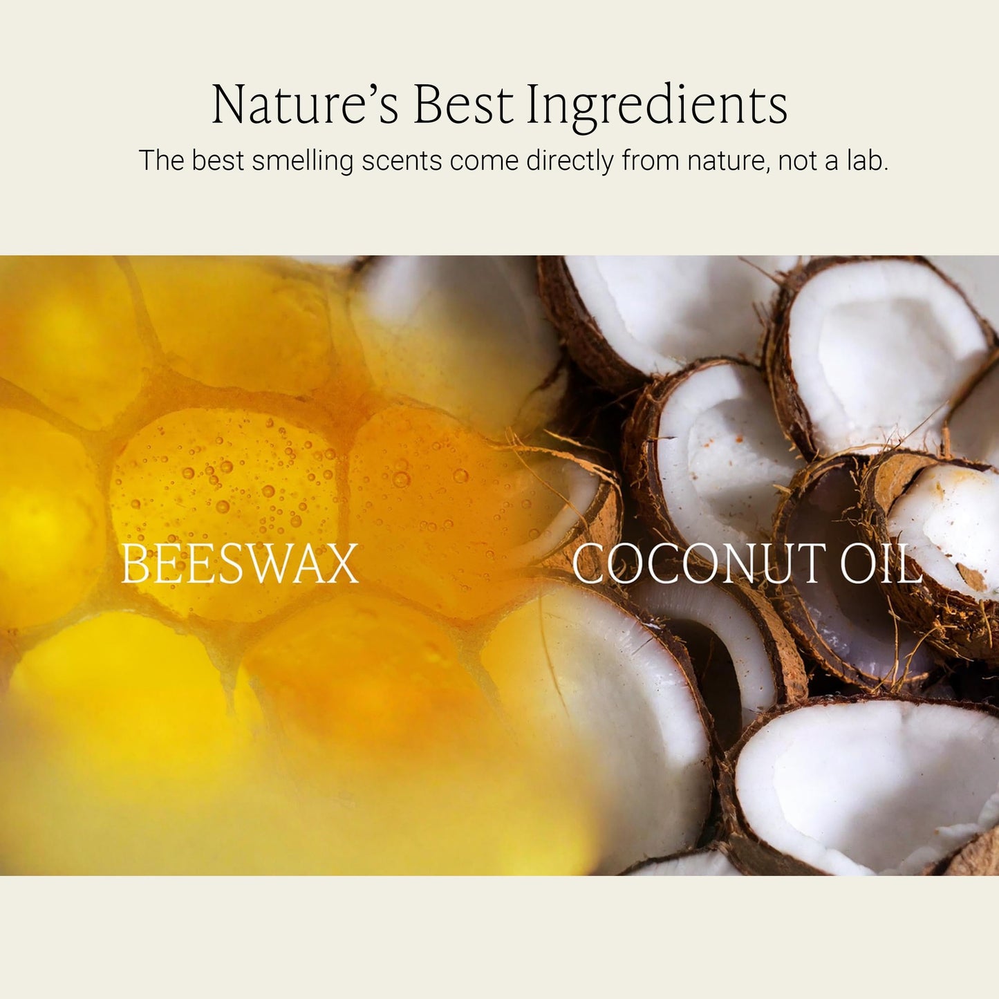 Fontana Candle Co Wood Wick Beeswax Jar Candle, Beeswax and Coconut Oil – Made Safe w/Coconut Oil & Pure Essential Oils – 35+ Hrs Clean Burn, Long Lasting and Non-Toxic Candles for Home & Room Decor