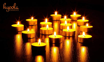 HYOOLA Beeswax Tealight Candles in Aluminum Cup - 12 Pack - 100% Pure Natural Beeswax Candles