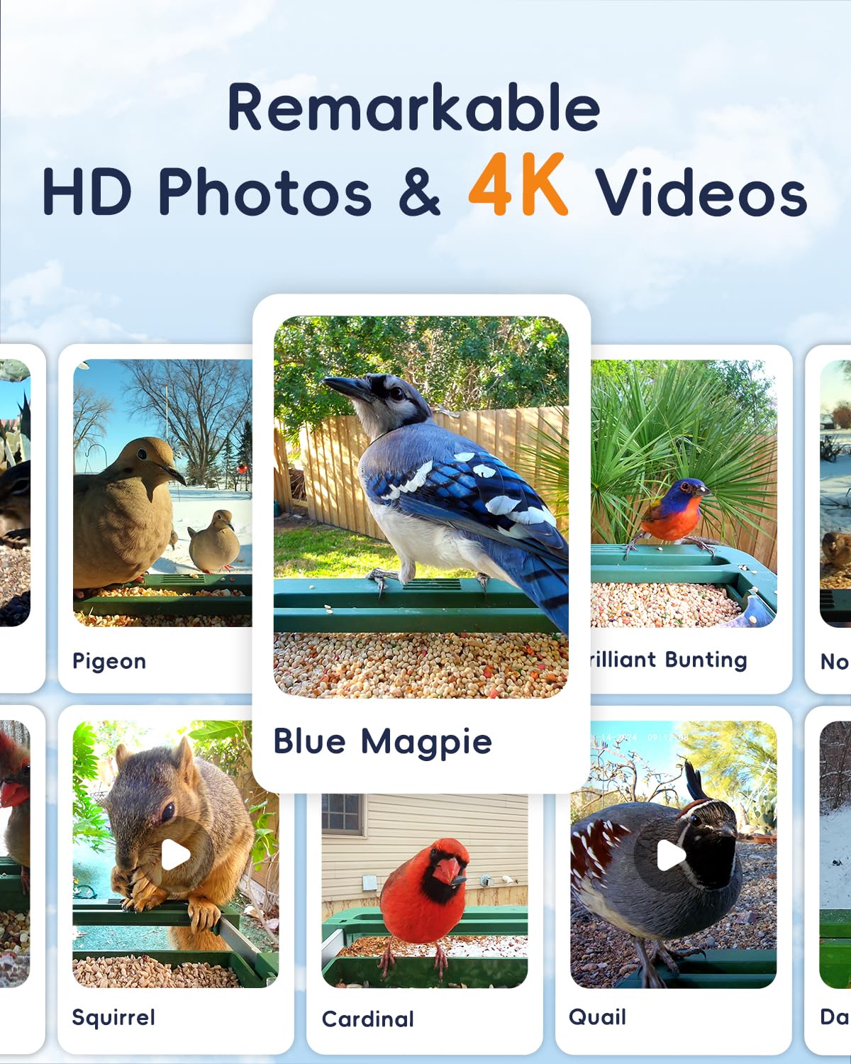 WingHome Bird Feeder with Camera, 32MP Photos & 4K Video with Live View, 5GHz/2.4GHz WiFi, AI Identify Birds Species and Instant Arrival Alerts for Bird Lovers